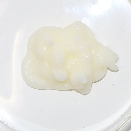 Camellia Oil Conditioner - Kurobara 500ml