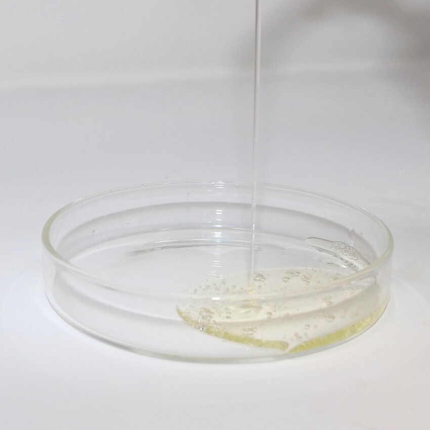 Camellia Oil Shampoo - Kurobara 500ml